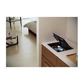 IndelB Safe Top Pengeskab